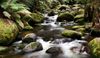 River Rock Spa, Canyonville, Oregon: Beauty Salons, Manicure, Pedicure, Nail Salon, Massage & Therapeutic, Hair Cutter, Hair Cutters, Stylist, Spas, Day Beauty, Skin Facials