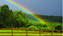 Roseburg Pet Crematorium, Roseburg, Oregon: Pet, Funeral, funeral home, funeral homes, funeral services, funeral director, funeral directors, cremation, cremation services, funeral supplies
